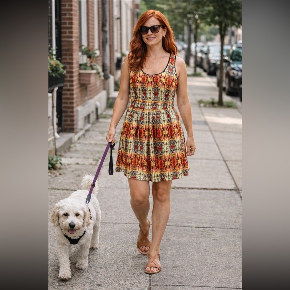 Anthropologie Sunday in Brooklyn mini dress size L.